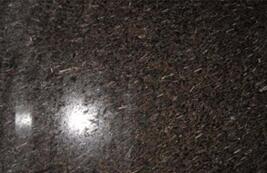 皇(huang)室啡(fei)米粒(li)蘤