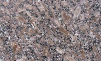 新(xin)品皇室啡