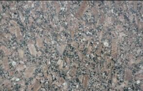 皇(huang)室(shi)啡(fei)玫瓌(gui)長(zhang)蘤